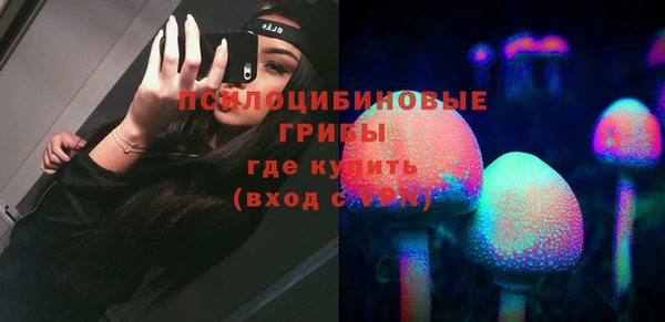 амф Абинск
