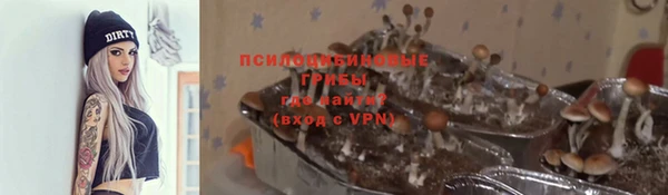 бошки Абдулино