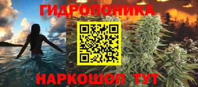 spice Рузаевка