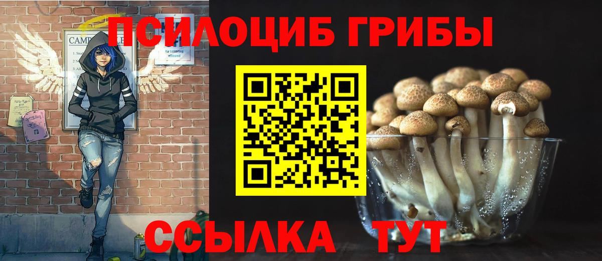 Псилоцибиновые грибы Magic Shrooms  Вход с VPN  Тобольск 